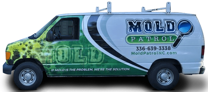 Mold Patrol Bus - Burlington Mold Removal
