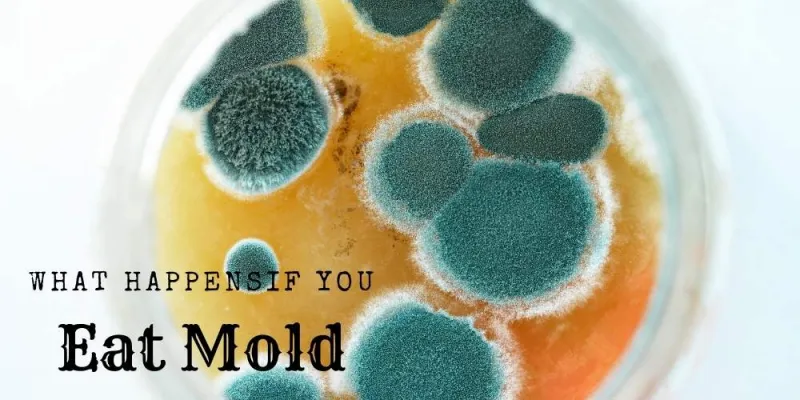 What Happens If You Eat Mold