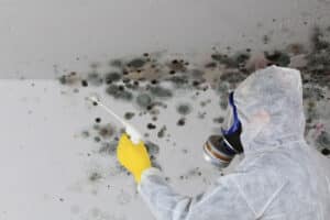 Can Mold Make You Sick