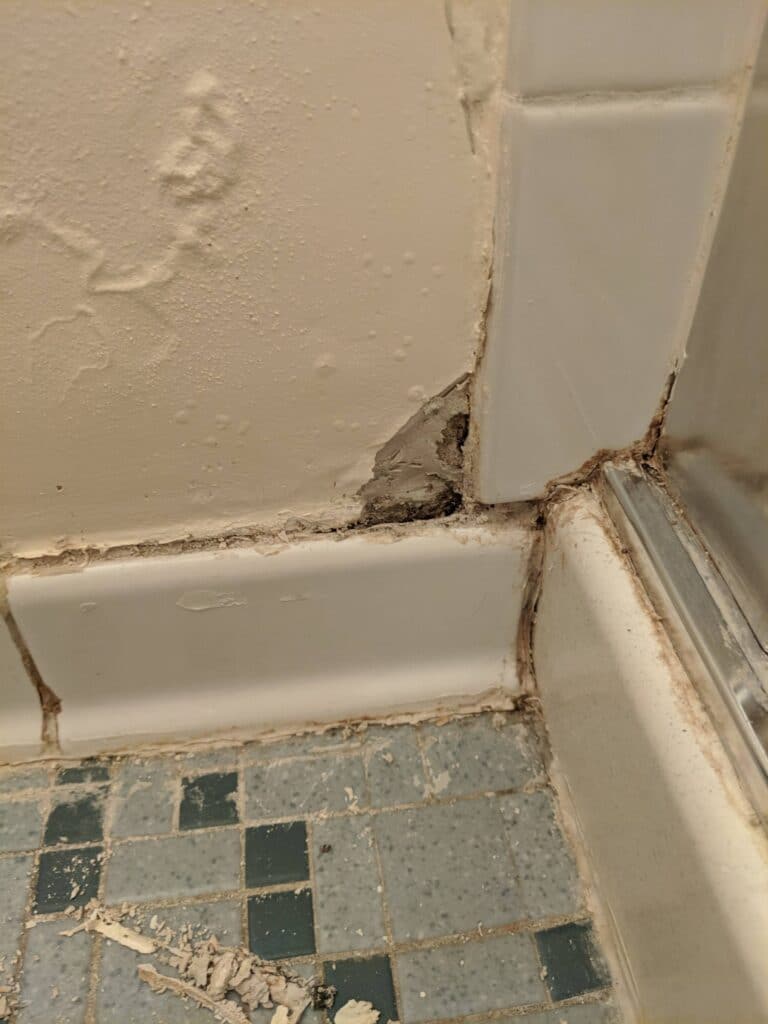 Mold on Baseboard Near Shower