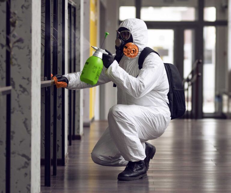 The benefits of professional mold testing near me