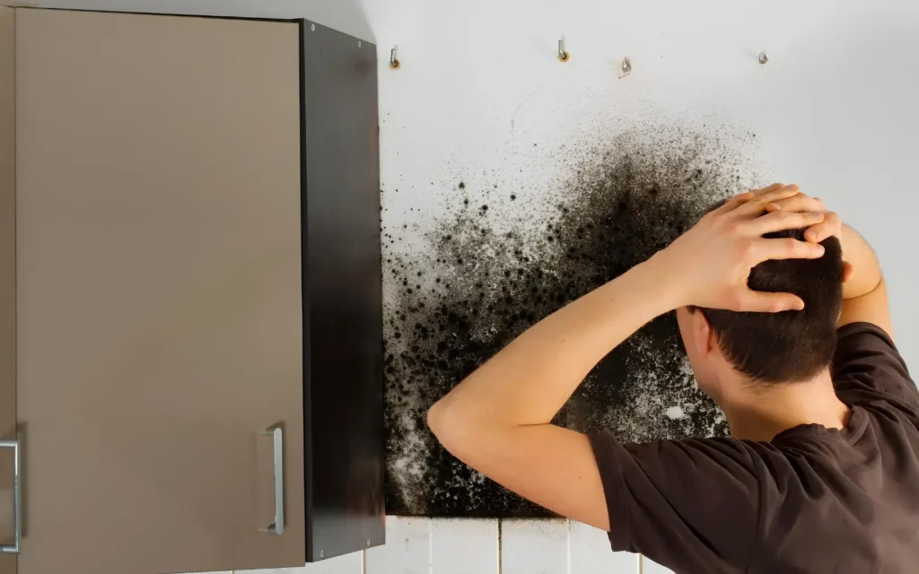 Mold growth discovered behind a kitchen cabinet
