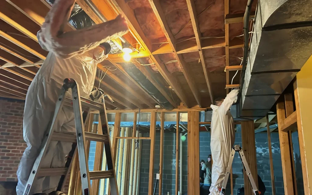 The Mold Patrol team at work