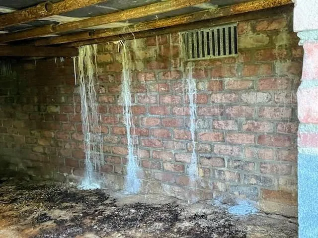 Black mold growth and water damage due to leaked pipes in a crawlspace
