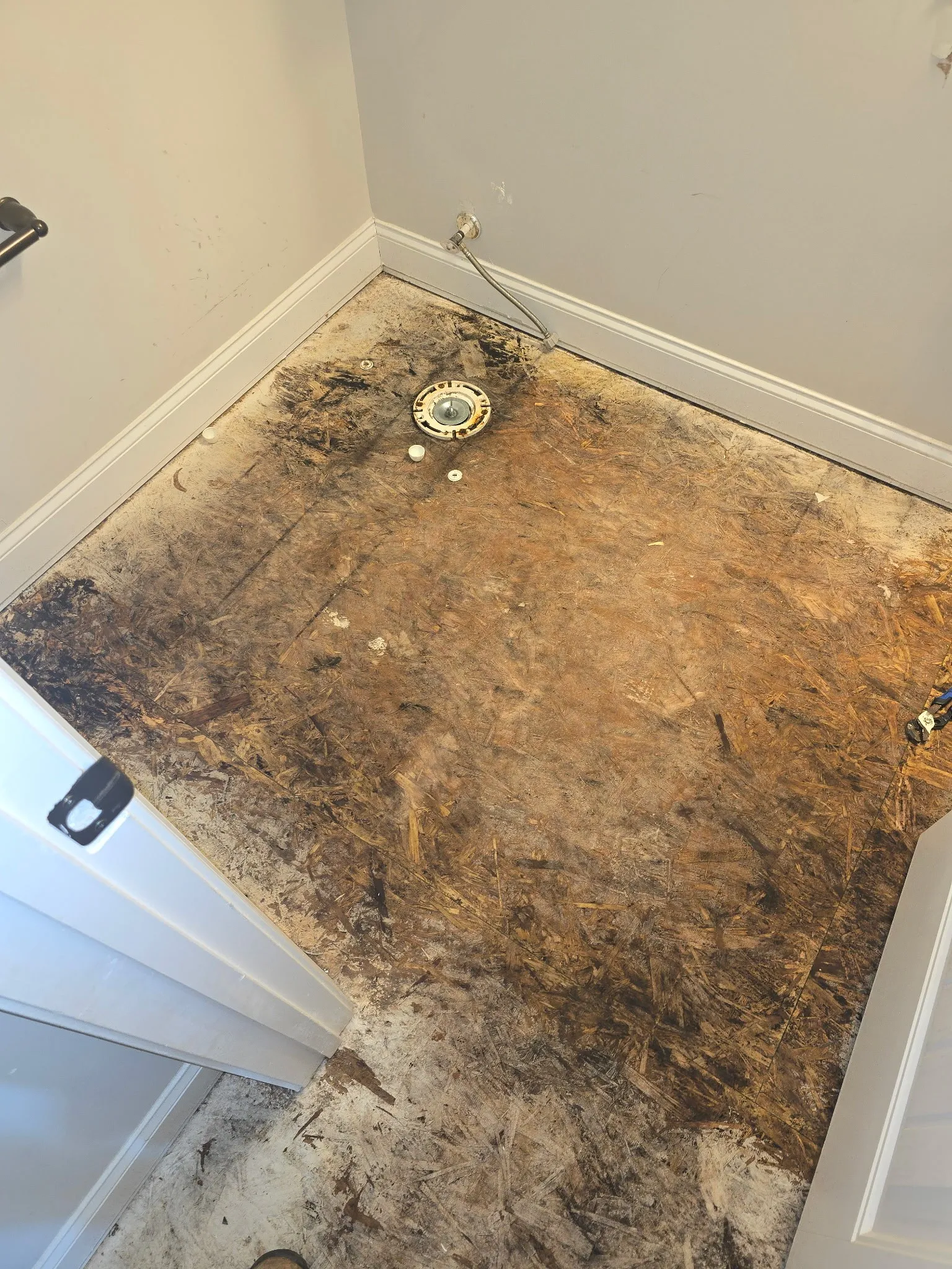 Black mold growth on a chipboard subfloor