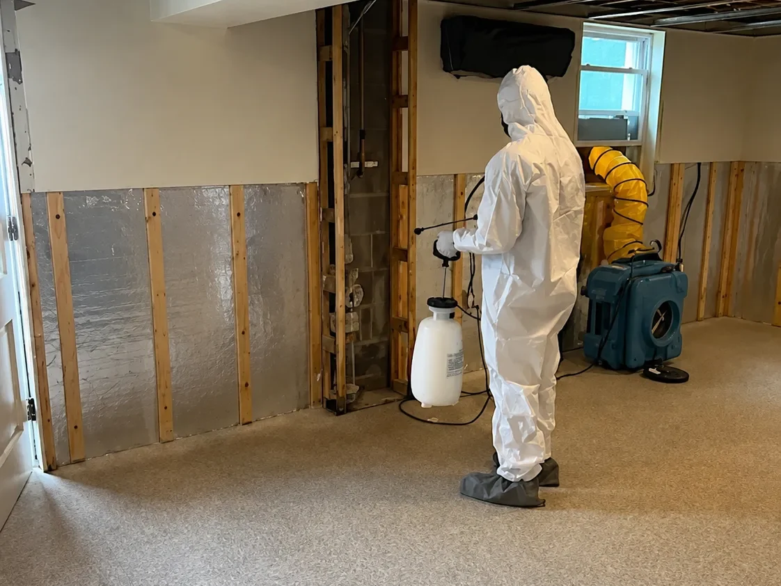 Mold Patrol spraying after mold removal to prevent future mold growth