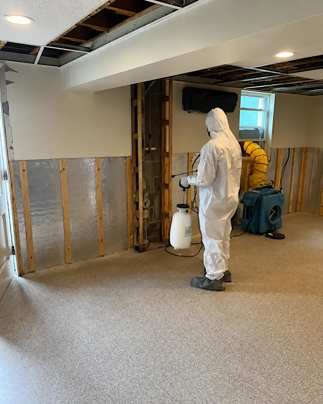 Mold Patrol spraying after mold removal to prevent future mold growth