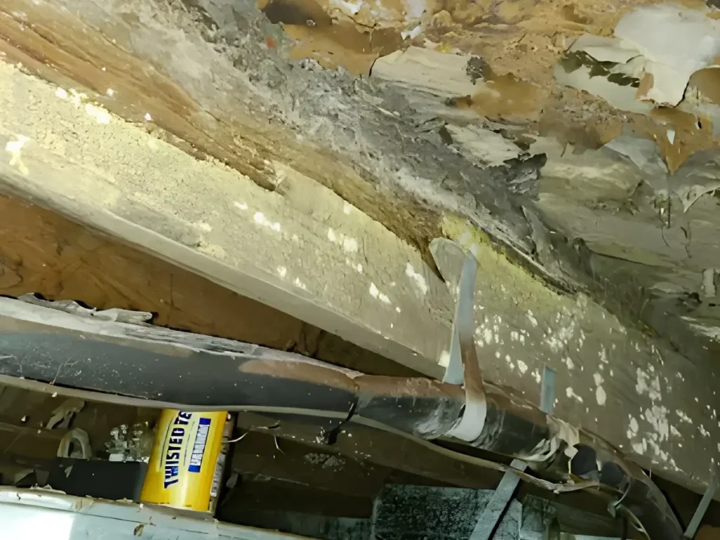 A moldy crawlspace